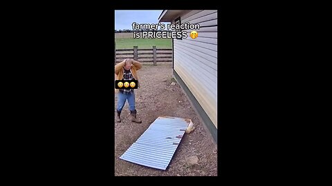 Farmer‘s reaction is priceless