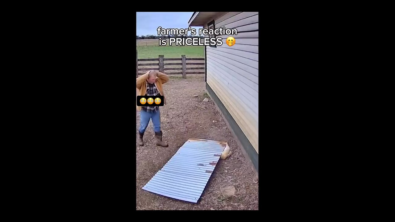 Farmer‘s reaction is priceless
