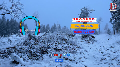 Skogpod 25. januar 2026