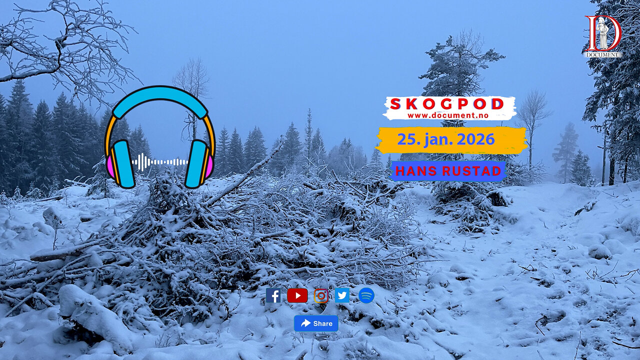 Skogpod 25. januar 2026