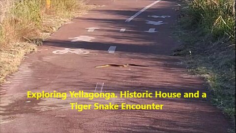 Exploring Yellagonga. Historic House & a Tiger Snake Encounter