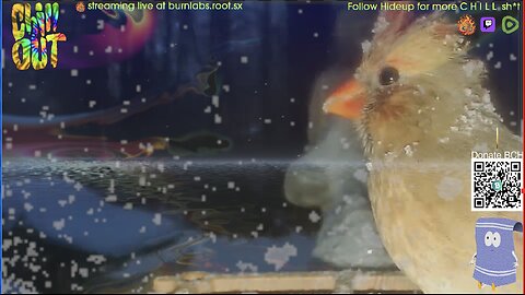 C H I L L Music // Birds Aren't Real // ChillHop MilkDrop LoFi