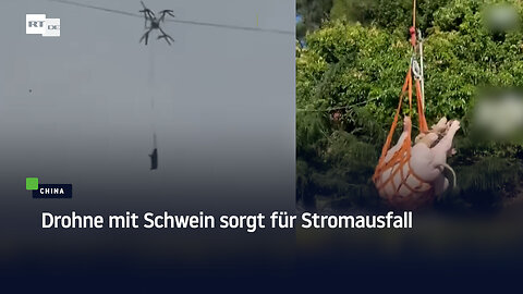 China: Drohne mit Schwein sorgt für Stromausfall