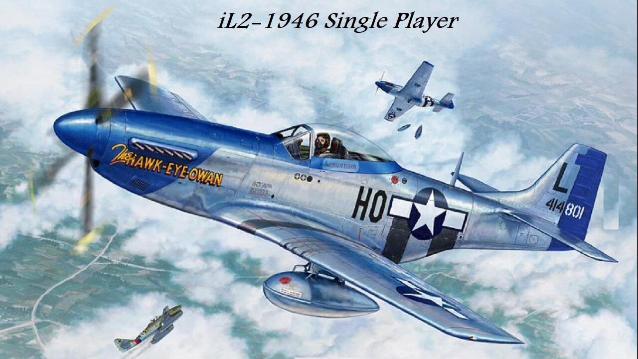 Bomber Escort P51D