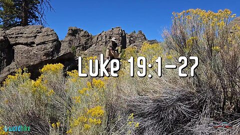 Luke 19:1-27, Bible Reading in Nature, BSB