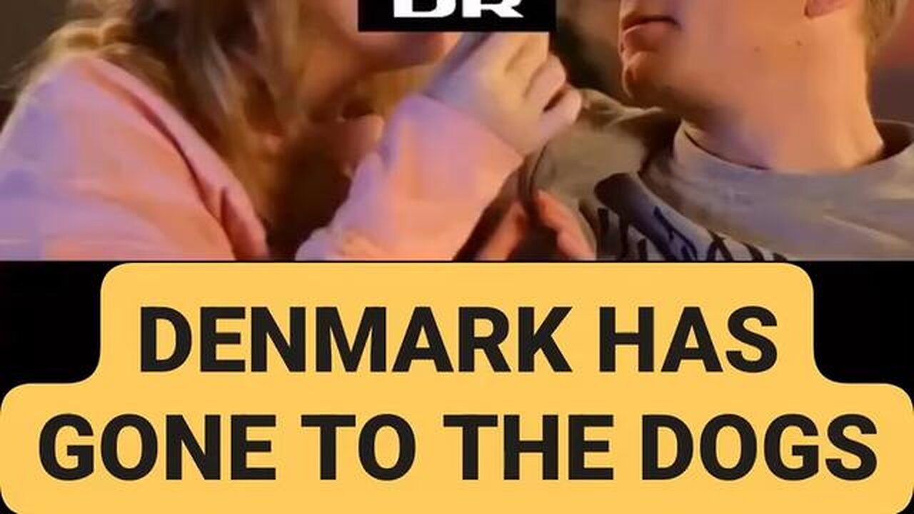 ☣️✡️🇩🇰✡️☣️ DENMARK HAS GONE TO THE DOGS