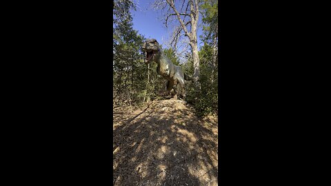 Face to face with a Tyrannosaurus Rex