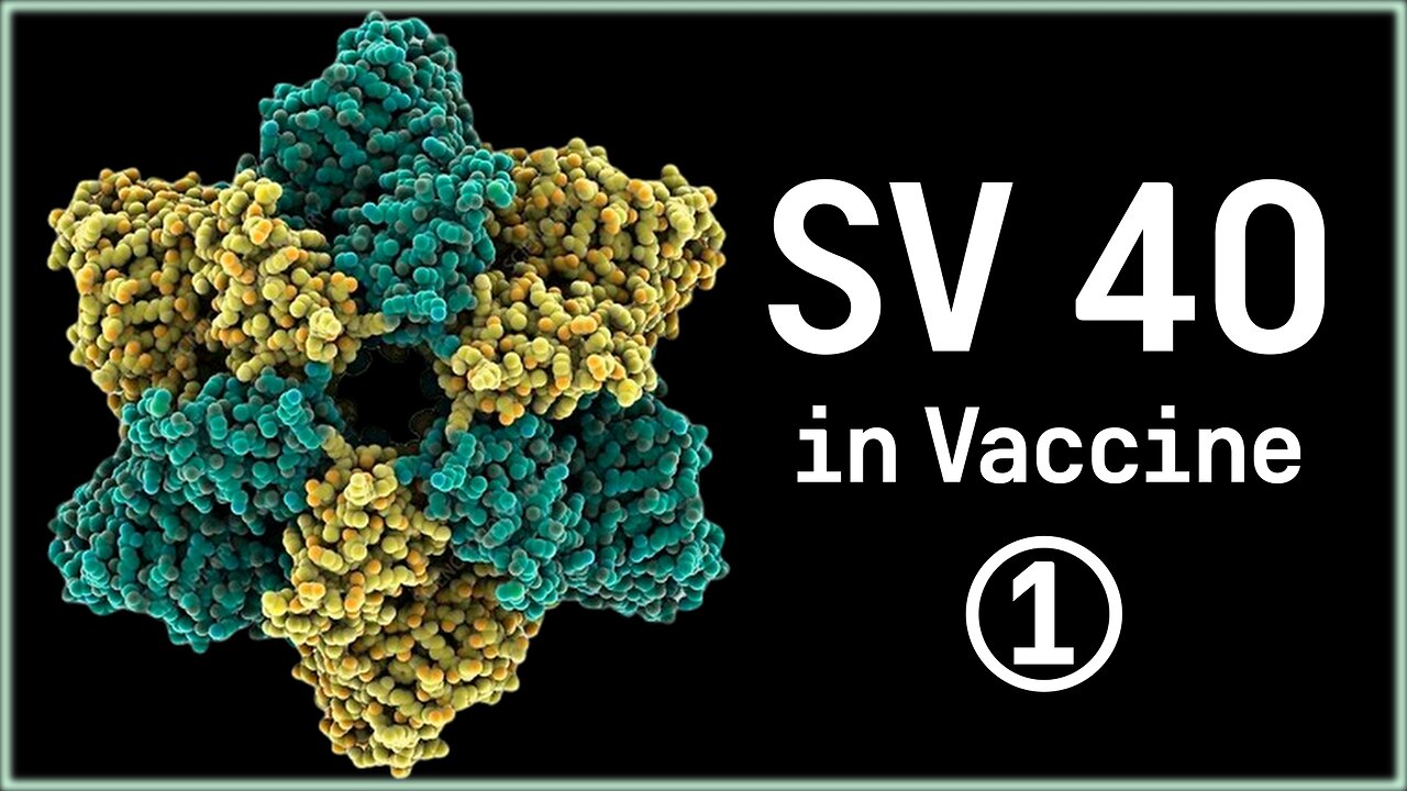백신 속 sv40 발언 모음 1탄
