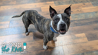 All Winnie Wants for Christmas is You!