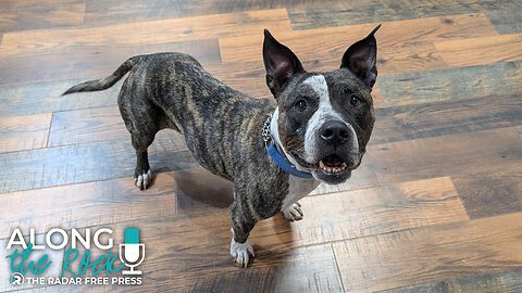 All Winnie Wants for Christmas is You!