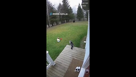 memeGen AI is the best free image to video generator — I’ve loved using it so far and it’s pretty