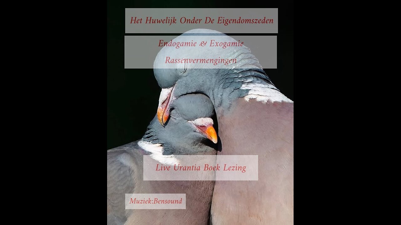 Het Huwelijk Onder De Eigendomszeden