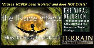 The INside Effects - How the Body Heals Itself! (Full Documentary)