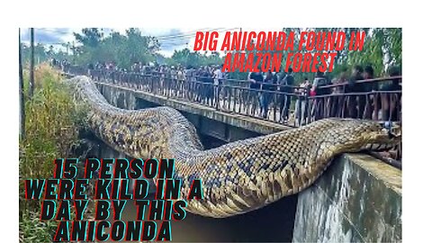 Giant snake found in amazon forest