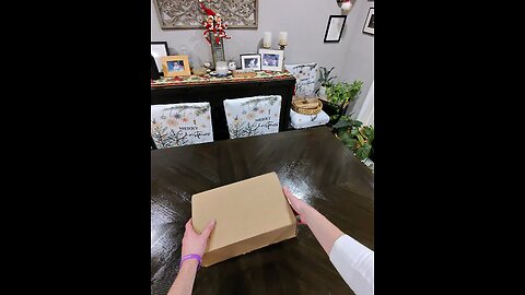 Unboxing The Nike SB Dunk Low "Nardwuar"