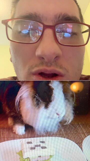 My reaction to cats eating Minecraft food