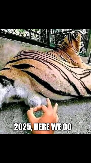 💥2025, WE OFF TO A BAD START 😔💥