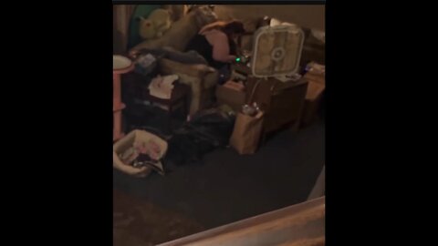 Sniping Shanny: "Teatime Girls" Jan 3, 2026