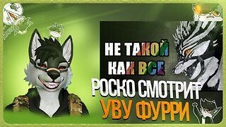 🐺 Роско смотрит 🍀Nava🍀 - UWU-ФУРРИ | Конформисты фурри фендома