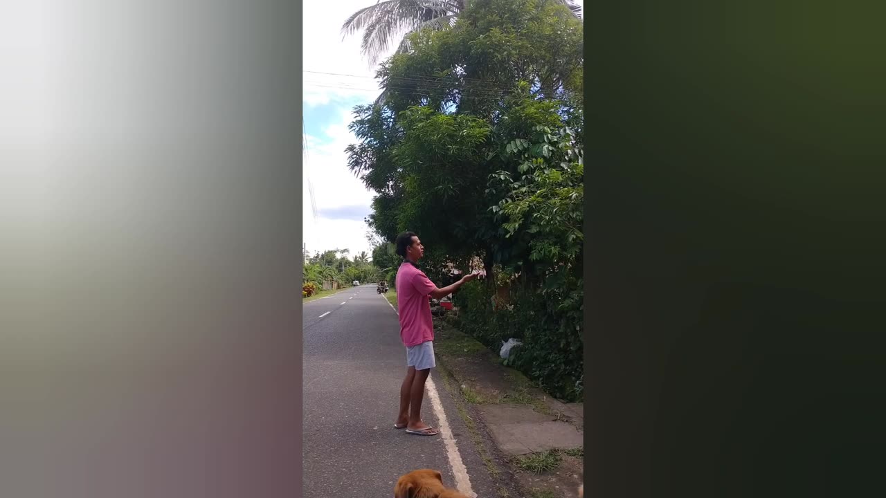 Northpaul Episode 573