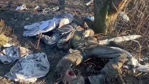 Ukraine war combat footage 10/5/25