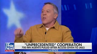 Greg Gutfeld, Jessica Tarlov Have Screaming Match Over Guns