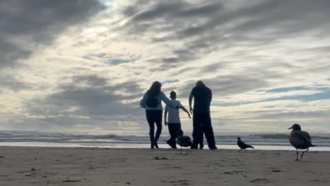 Funny Bird Takes Over Family's Video