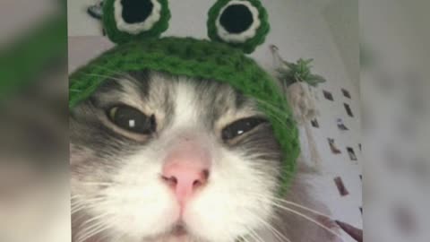 Me Gustas Tu {Sped Up}