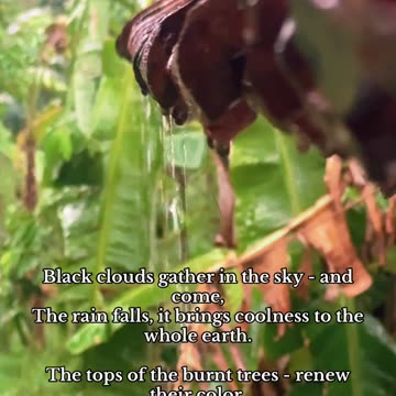 The beauty of a cloudy day... Its Rainy Day ..#feel #rainyview #rainyday #beautiful #calming