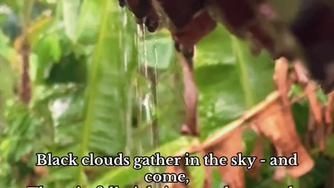 The beauty of a cloudy day... Its Rainy Day ..#feel #rainyview #rainyday #beautiful #calming