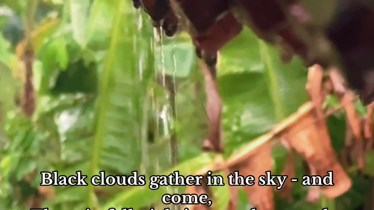 The beauty of a cloudy day... Its Rainy Day ..#feel #rainyview #rainyday #beautiful #calming