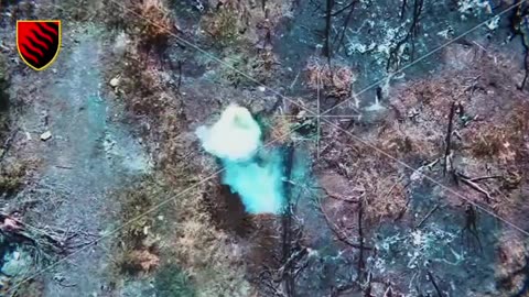 The 55th separate artillery brigade is trying to prevent the occupiers from reaching Pokrovsk