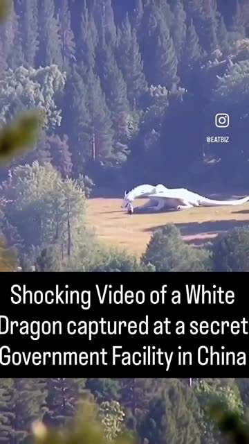 White Dragon like creature captured in govt facility in china