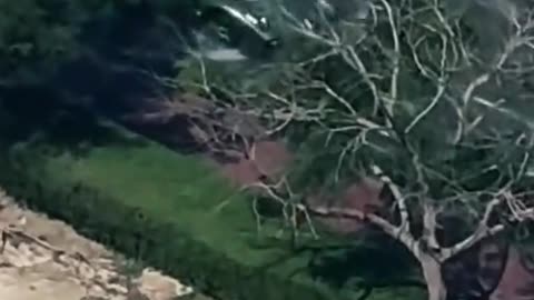 🤯🚗 Dubai's Most Exciting Luxury Car! | LuxurySportsCars