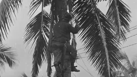 ORMOC AND MINDORO IDLANDS, PHILIPP... - ORMOC AND MINDORO IDLANDS, PHILIPPINE ISLANDS - 111-adc-2929