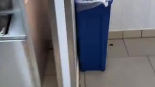 In the UK you can just watch McDonalds get robbed every single day on live streams