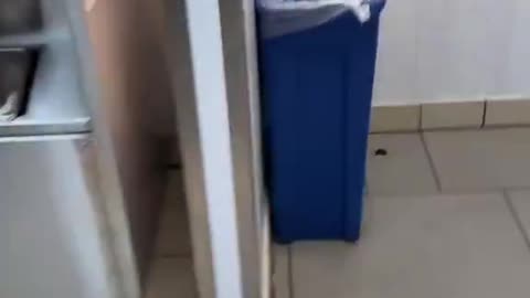 In the UK you can just watch McDonalds get robbed every single day on live streams