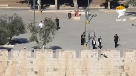 Israeli settler fanatics break into the courtyards of Al-Aqsa Mosque in occupied Jerusalem