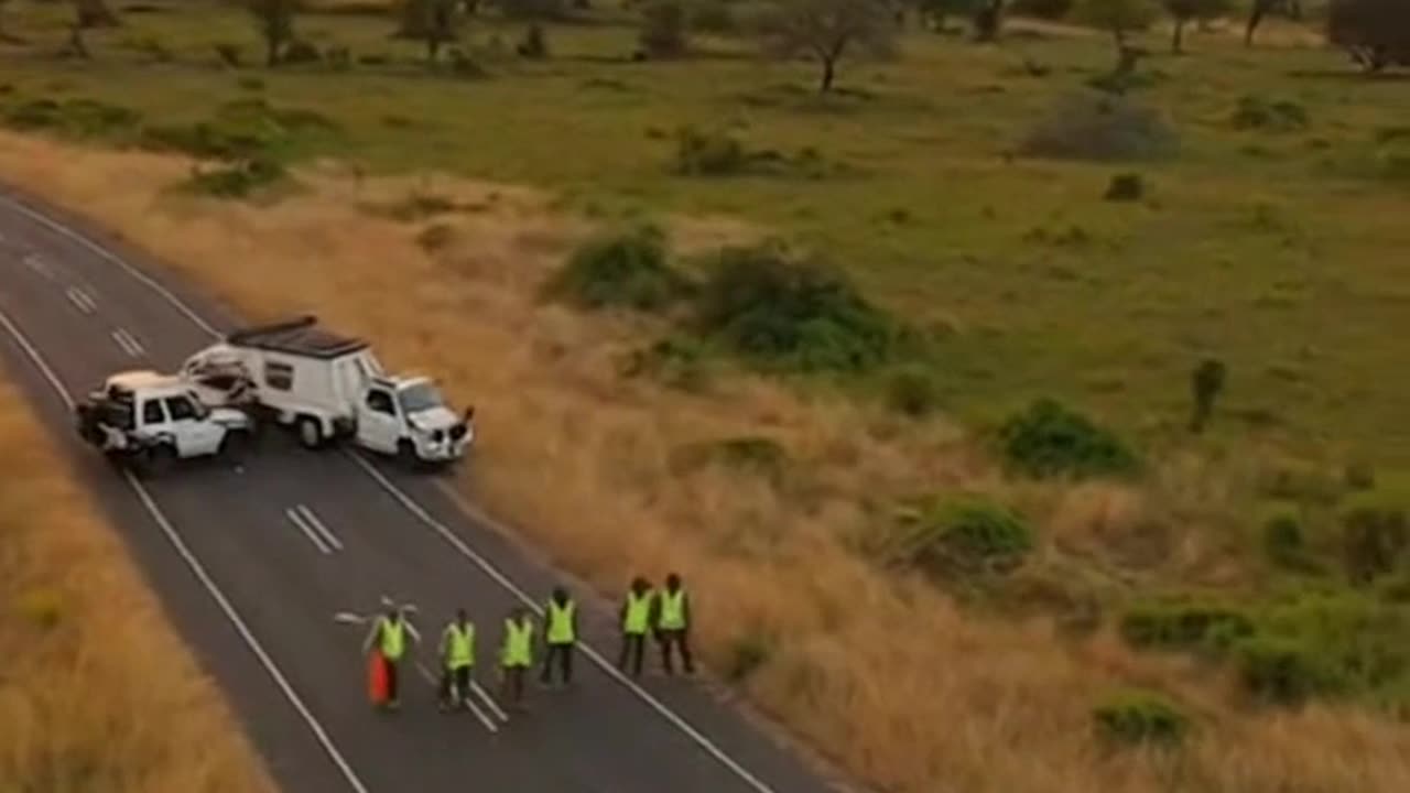 Charging Rhino Intervention