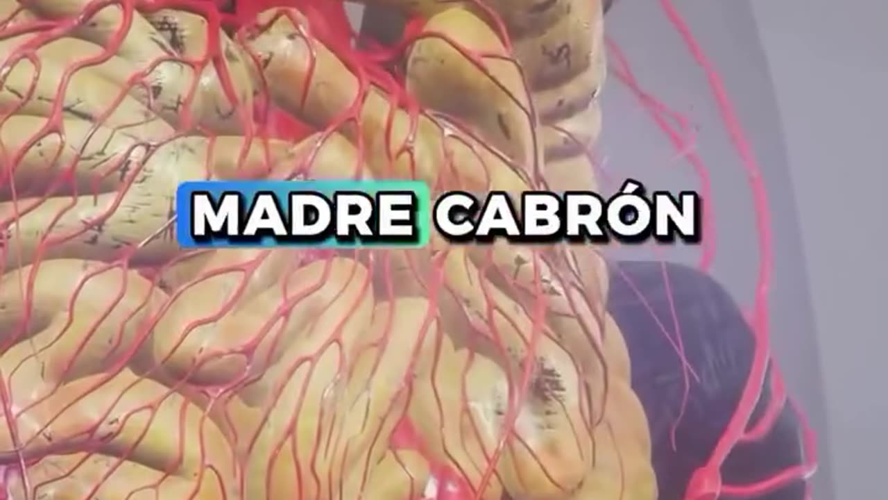 Detox Celular Cabrón