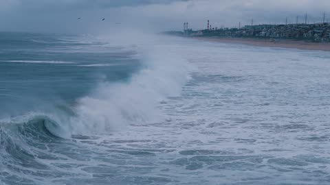 "Everything you see has its roots in the unseen world."