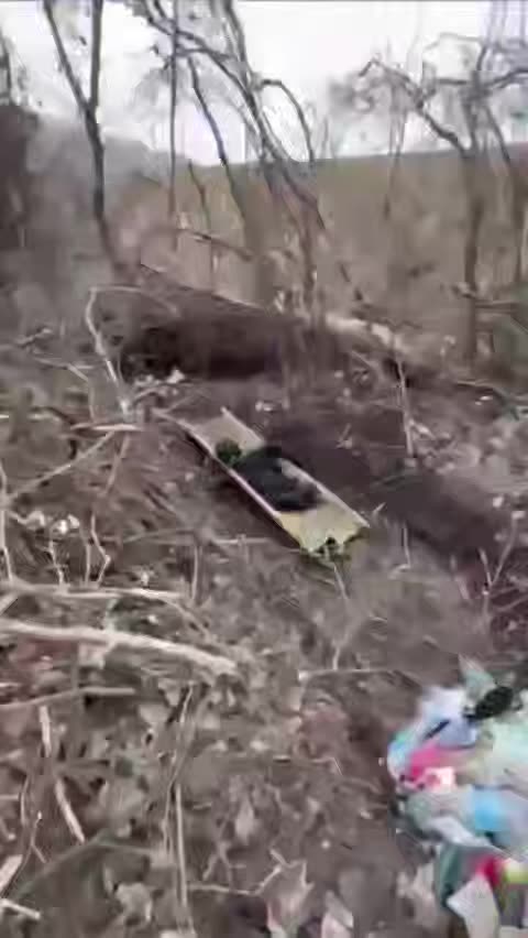 "They Found Vasiliy... He's Over There."