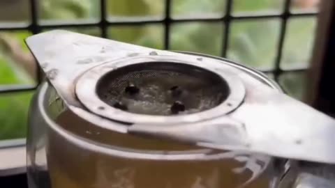 “पतला नहीं… हल्का, हेल्दी और हैप्पी महसूस करने की जर्नी पर हूँ 💛✨