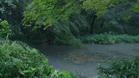 The streams and rain in the valley