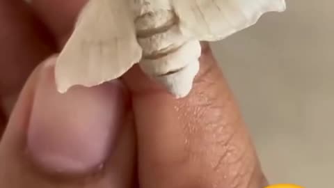 This is beautiful. 😚