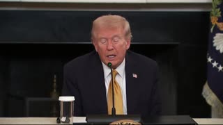 REPORTER: What's your reaction to Rep. Dan Goldman (D) calling on NYPD to arrest ICE agents?