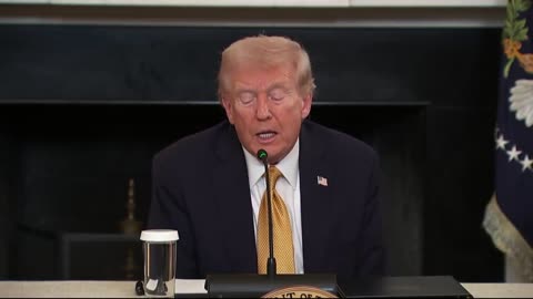 REPORTER: What's your reaction to Rep. Dan Goldman (D) calling on NYPD to arrest ICE agents?