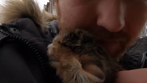 Tiny Kitten's Cry for Help on a Freezing Cold Day