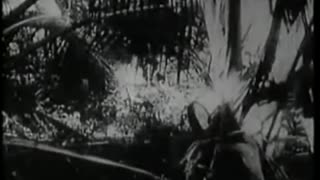 20000 Leagues Under the Sea (1916)