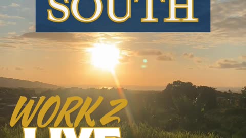 ⭐ This is Why We Work. The Real Perks of Working From Home